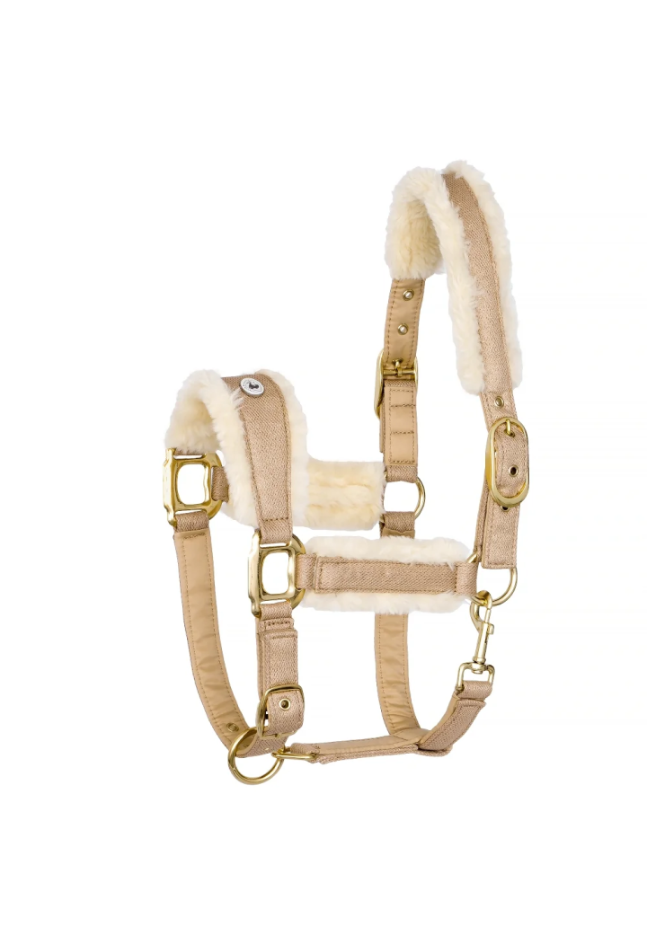 20820066_Kantar EQ.QUEEN Rotterdam 25SS beige front.webp