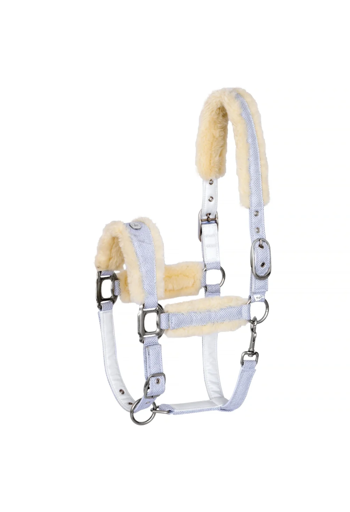 20820066_Kantar EQ.QUEEN Rotterdam 25SS white front.webp