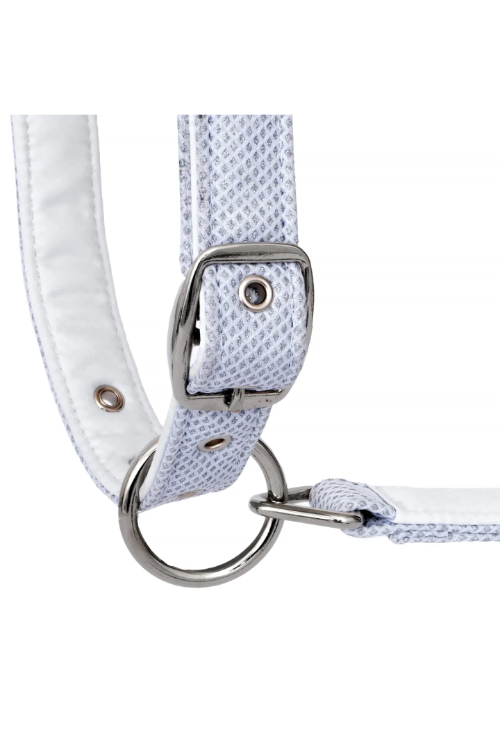 20820066_Kantar EQ.QUEEN Rotterdam 25SS white detail.webp