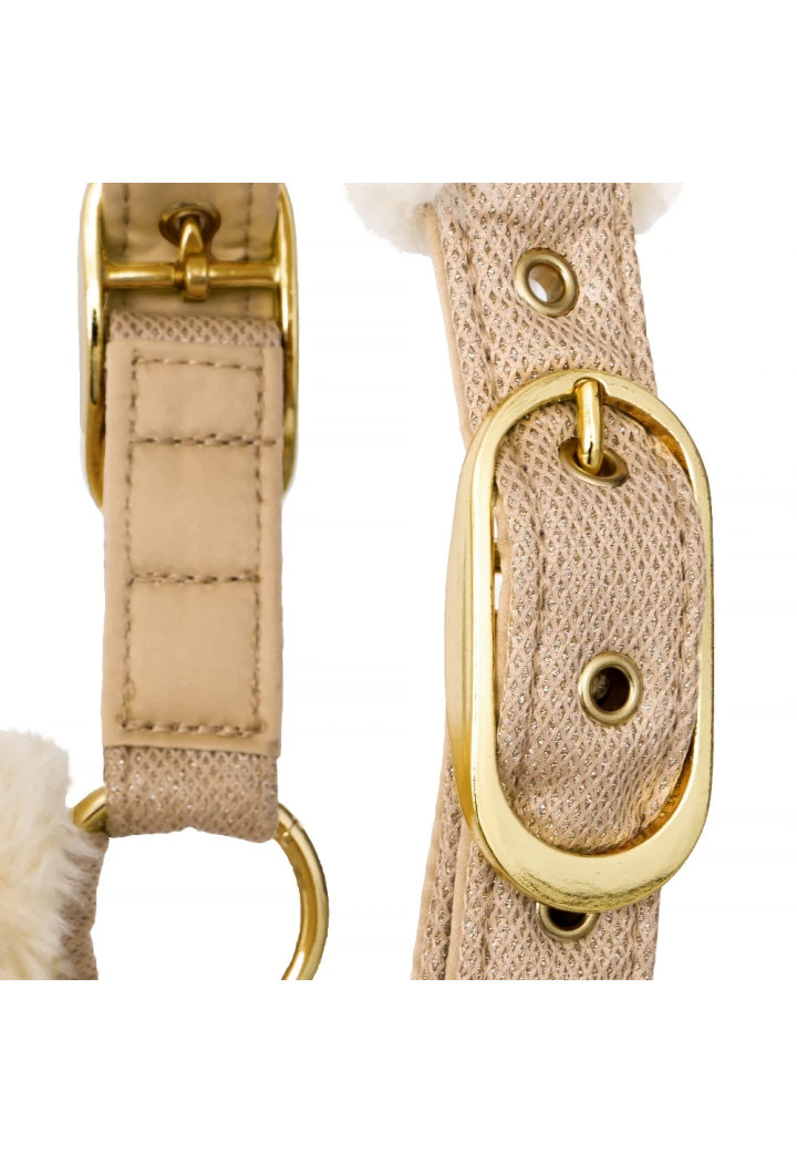 20820066_Kantar EQ.QUEEN Rotterdam 25SS beige detail4.webp