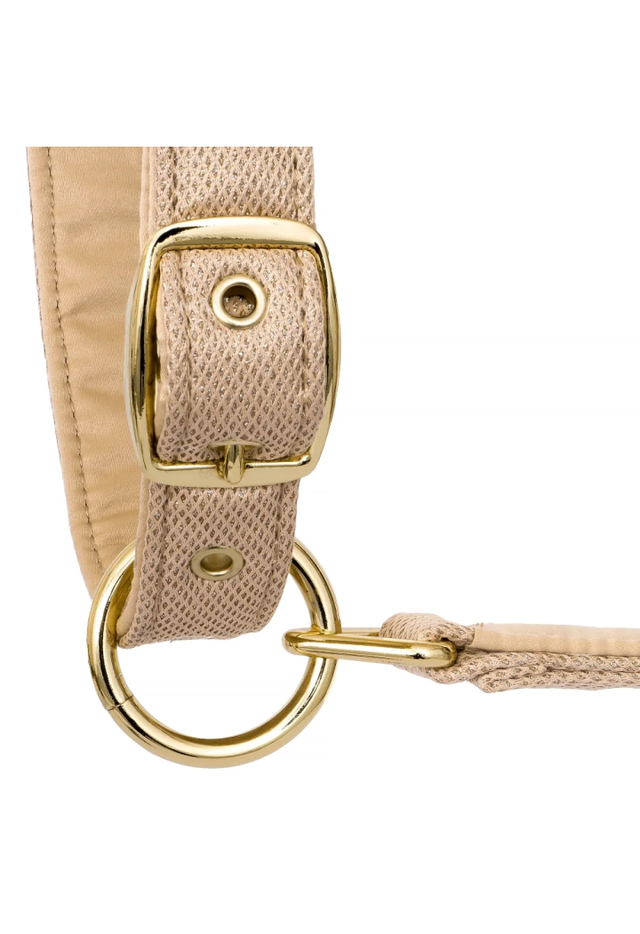 20820066_Kantar EQ.QUEEN Rotterdam 25SS beige detail.webp