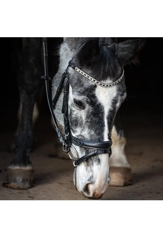Bridle EQ Electra .jpg