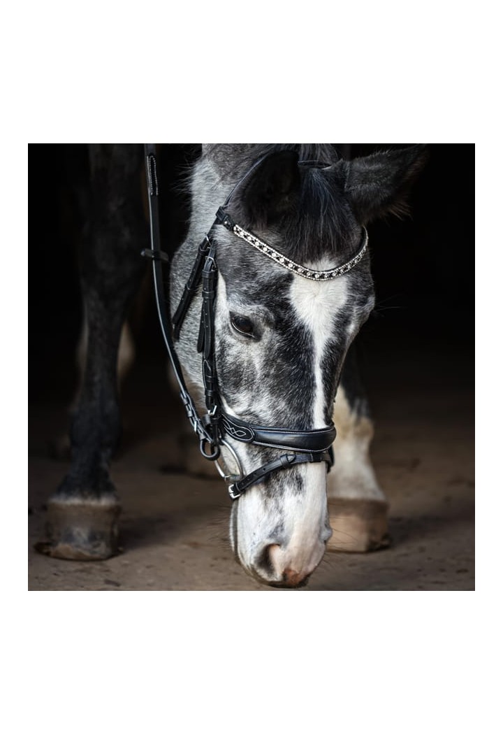 Bridle EQ Electra .jpg