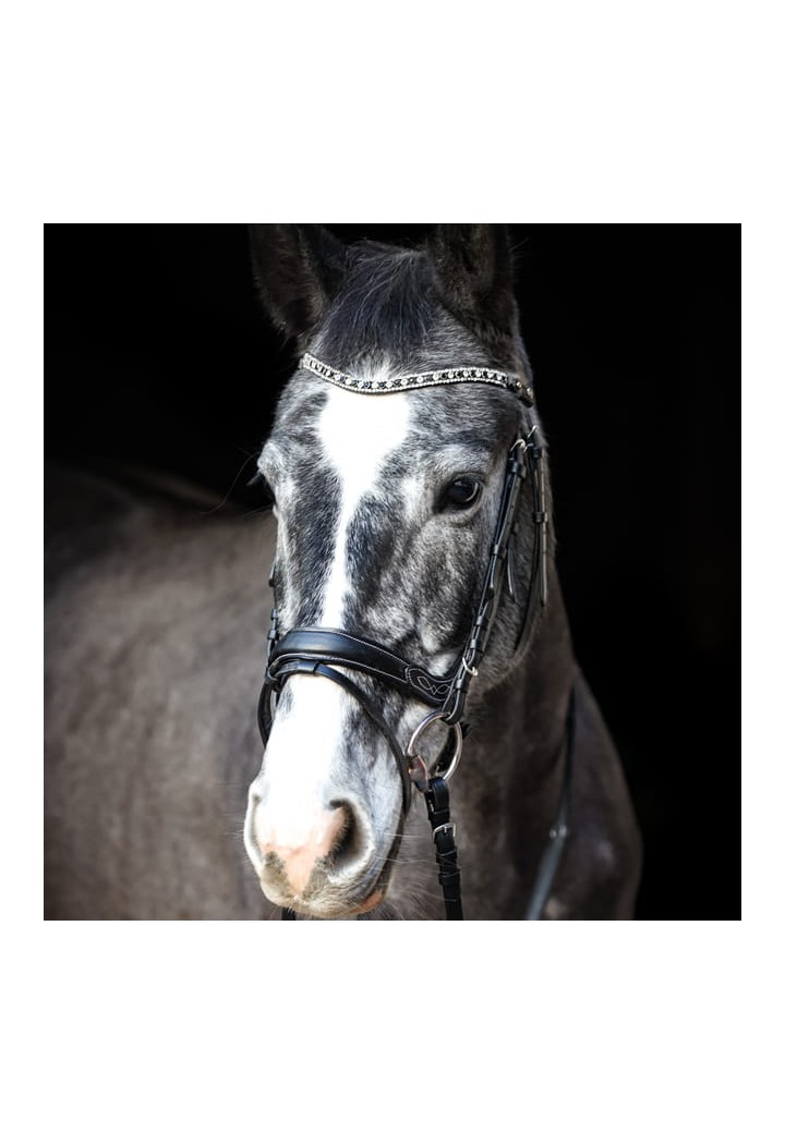 Bridle EQ Electra 2.jpg
