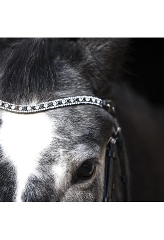 Browband Hebe.jpg