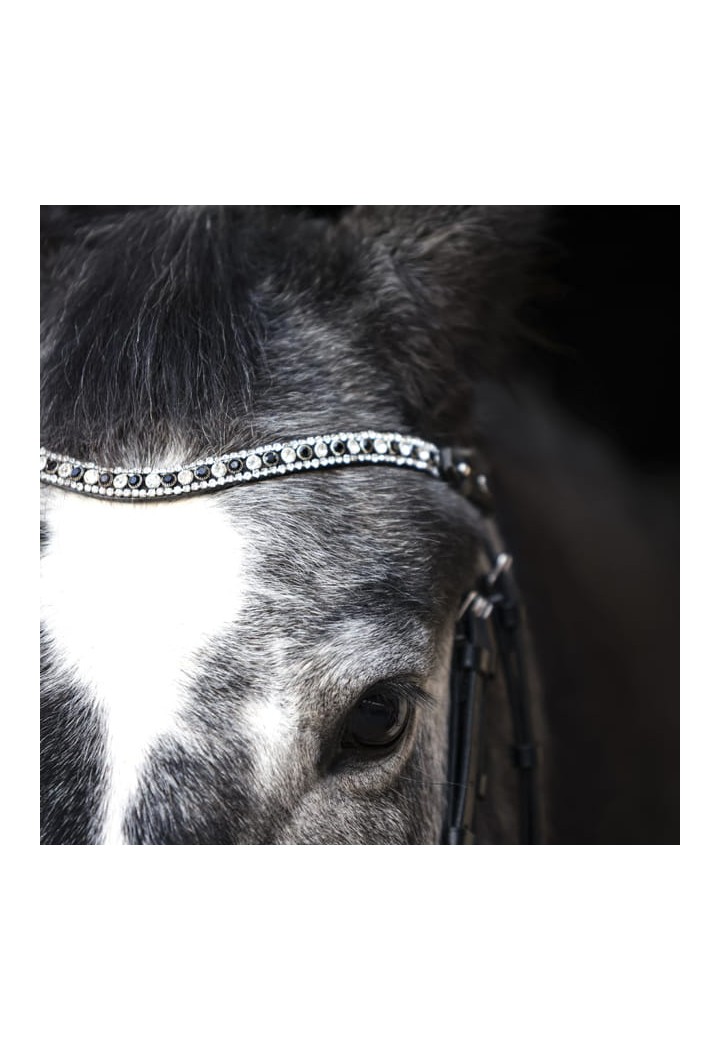 Browband Hebe.jpg